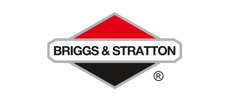 Client Logo - Briggs & Stratton